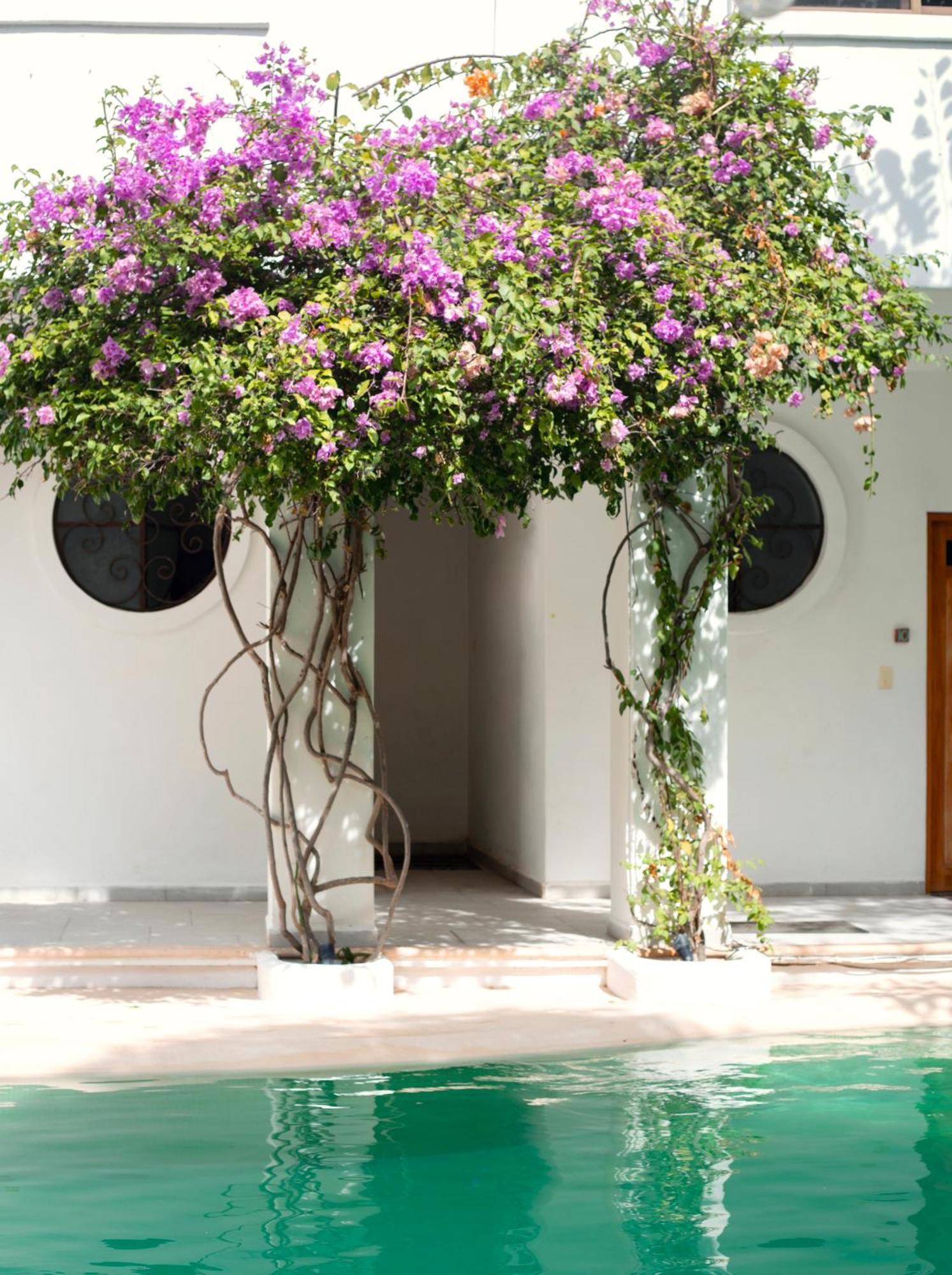 Sonido Del Mar Hotel Boutique & Yoga Loft Тулум Экстерьер фото